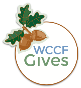 17 Gives Day Results Wccf Gives